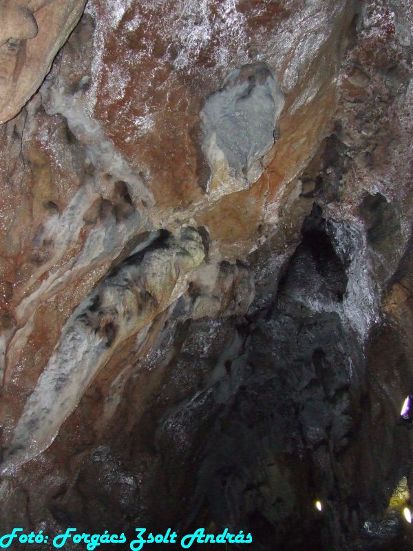 2013_zichy_barlang__153.JPG