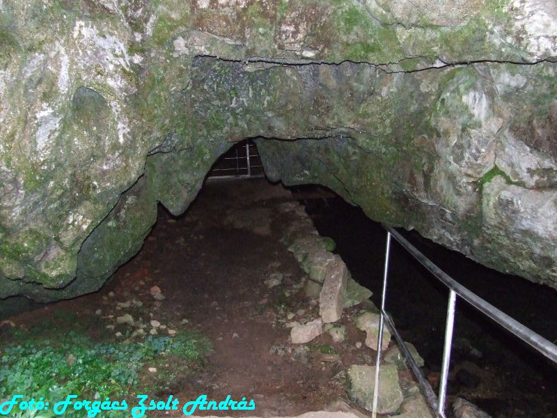 2013_zichy_barlang__155.JPG