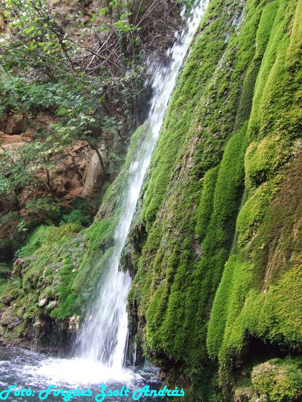 2013_zichy_barlang__168.JPG