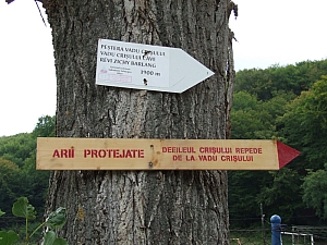 2013_zichy_barlang__002.JPG 2013_zichy_barlang__002.JPG