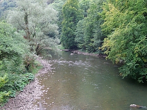 2013_zichy_barlang__030.JPG 2013_zichy_barlang__030.JPG