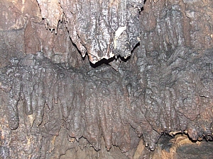 2013_zichy_barlang__047.JPG 2013_zichy_barlang__047.JPG