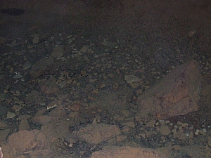 2013_zichy_barlang__076.JPG 2013_zichy_barlang__076.JPG