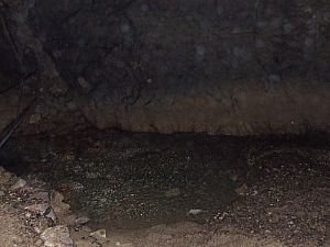 2013_zichy_barlang__078.JPG 2013_zichy_barlang__078.JPG