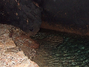 2013_zichy_barlang__082.JPG 2013_zichy_barlang__082.JPG