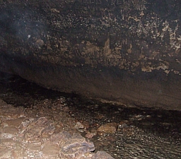 2013_zichy_barlang__090.JPG 2013_zichy_barlang__090.JPG