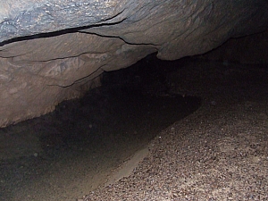 2013_zichy_barlang__100.JPG 2013_zichy_barlang__100.JPG