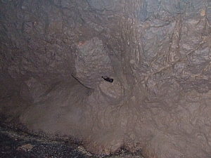 2013_zichy_barlang__112.JPG 2013_zichy_barlang__112.JPG