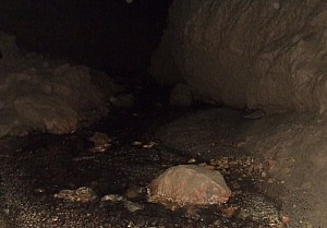 2013_zichy_barlang__114.JPG 2013_zichy_barlang__114.JPG