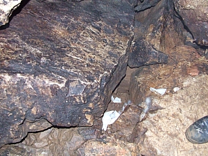 2013_zichy_barlang__116.JPG 2013_zichy_barlang__116.JPG