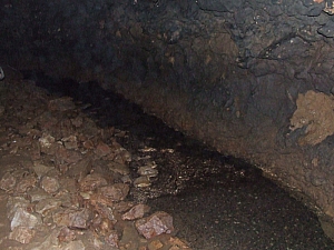 2013_zichy_barlang__120.JPG 2013_zichy_barlang__120.JPG