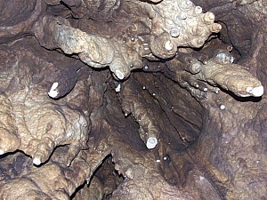 2013_zichy_barlang__134.JPG 2013_zichy_barlang__134.JPG
