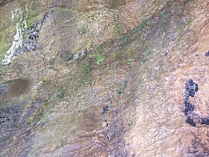 2013_zichy_barlang__135.JPG 2013_zichy_barlang__135.JPG