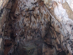 2013_zichy_barlang__142.JPG 2013_zichy_barlang__142.JPG