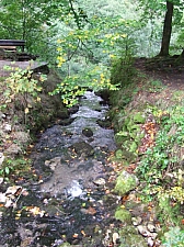 2013_zichy_barlang__161.JPG 2013_zichy_barlang__161.JPG