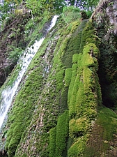 2013_zichy_barlang__170.JPG 2013_zichy_barlang__170.JPG
