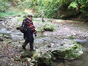 2013_sz_sighitei_barlang__005.JPG 2013_sz_sighitei_barlang__005.JPG