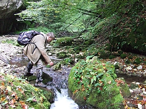 2013_sz_sighitei_barlang__011.JPG 2013_sz_sighitei_barlang__011.JPG
