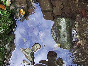 2013_sz_sighitei_barlang__014.JPG 2013_sz_sighitei_barlang__014.JPG