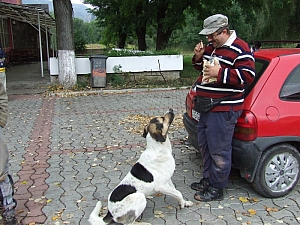 2013_sz_suncuius__007.JPG 2013_sz_suncuius__007.JPG