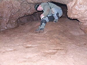2013_sz_suncuius_barlang__010.JPG 2013_sz_suncuius_barlang__010.JPG